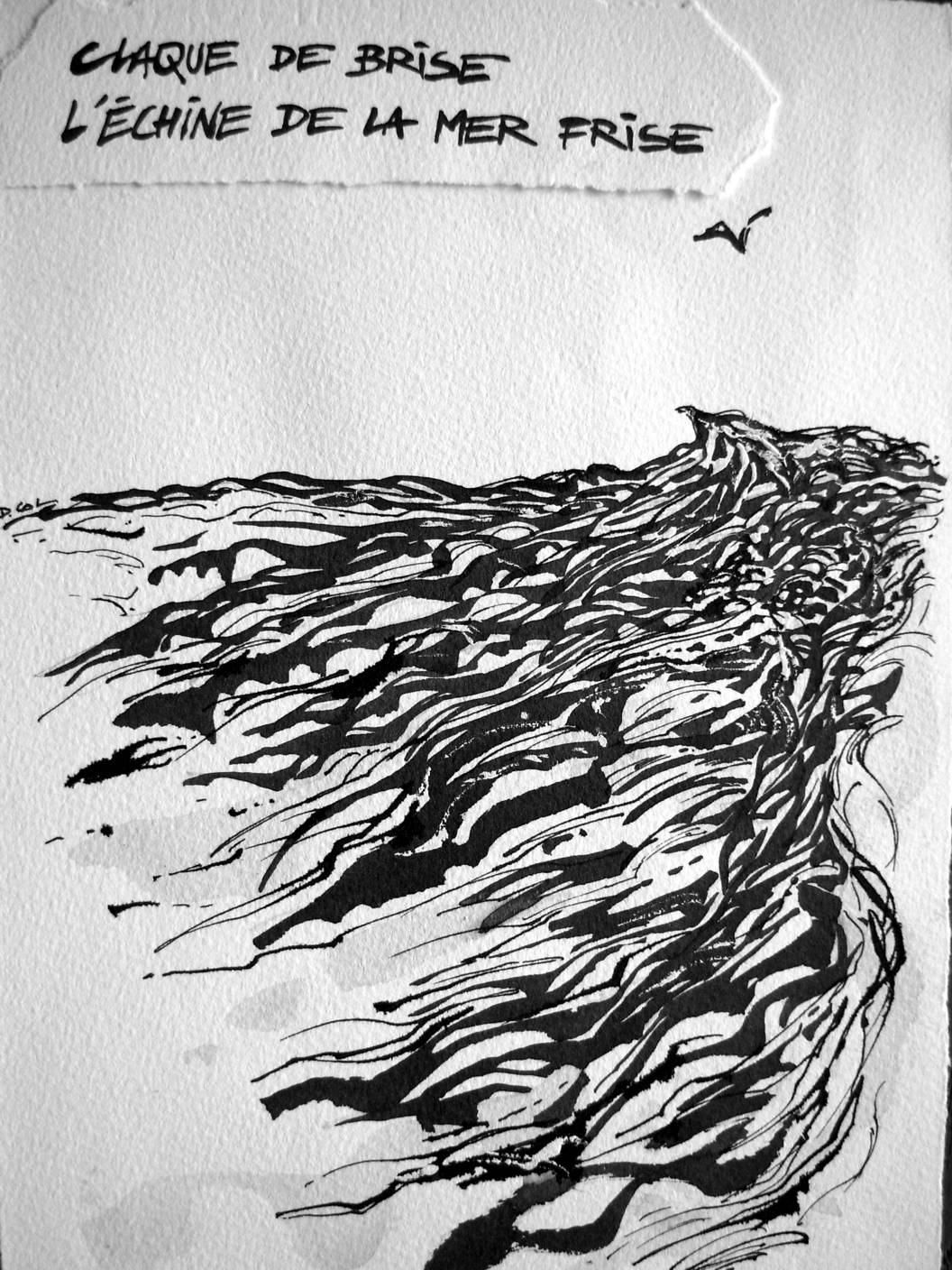 Encre de Didier Collobert.